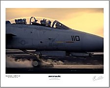 Grumman/USN F-14 Poster